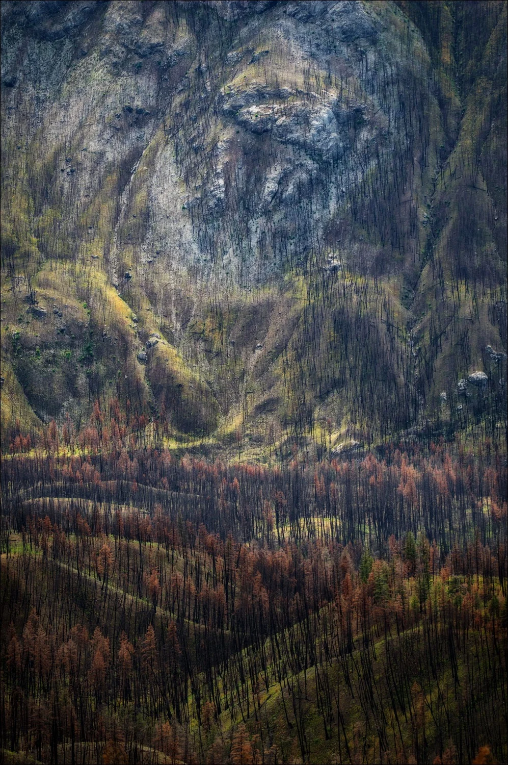 © 2018 Tom Bradley
