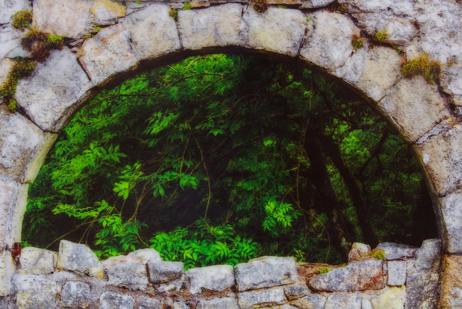 _JOO1460_web.jpg