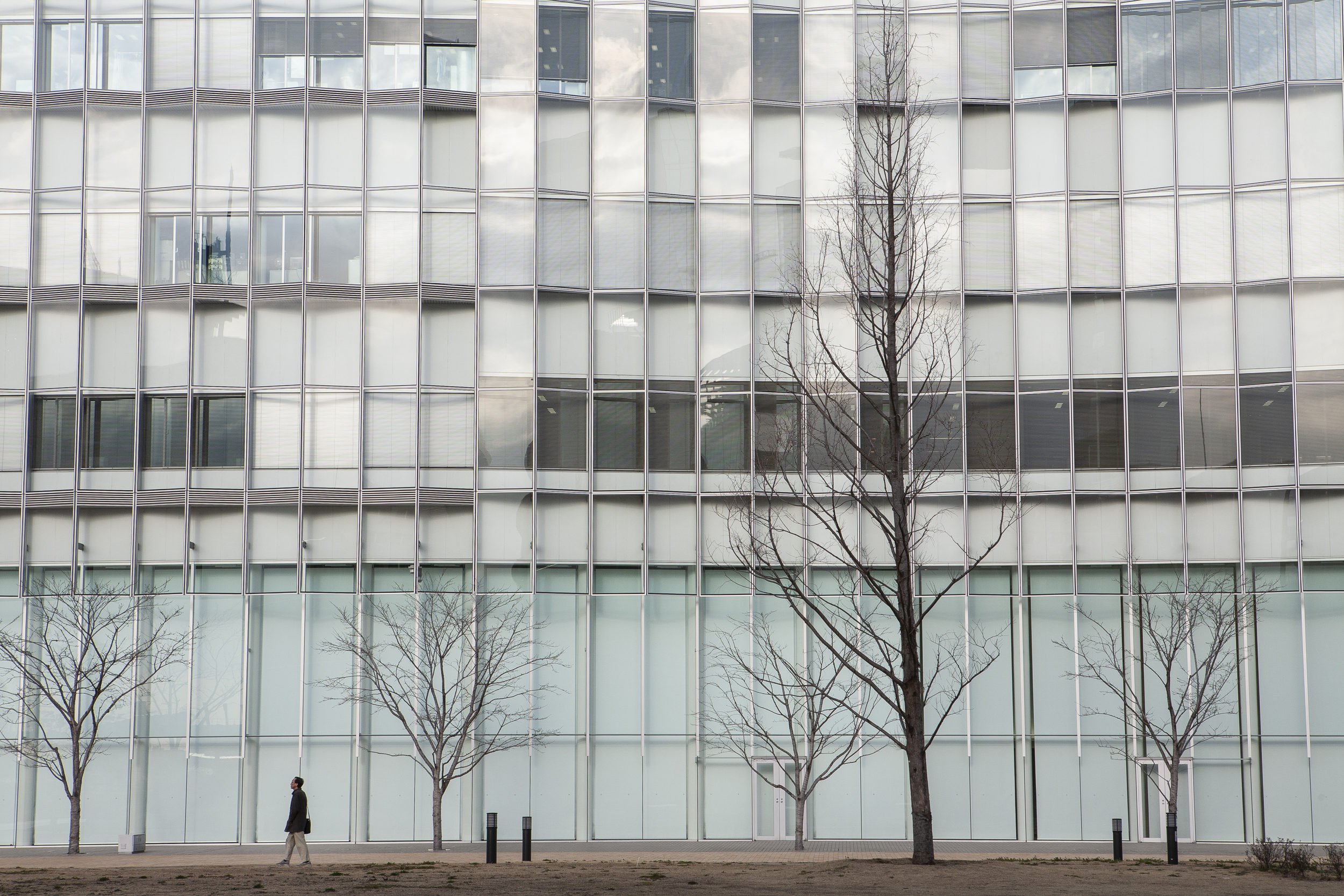 fine-art-print-pedestrian-glass-building.jpg