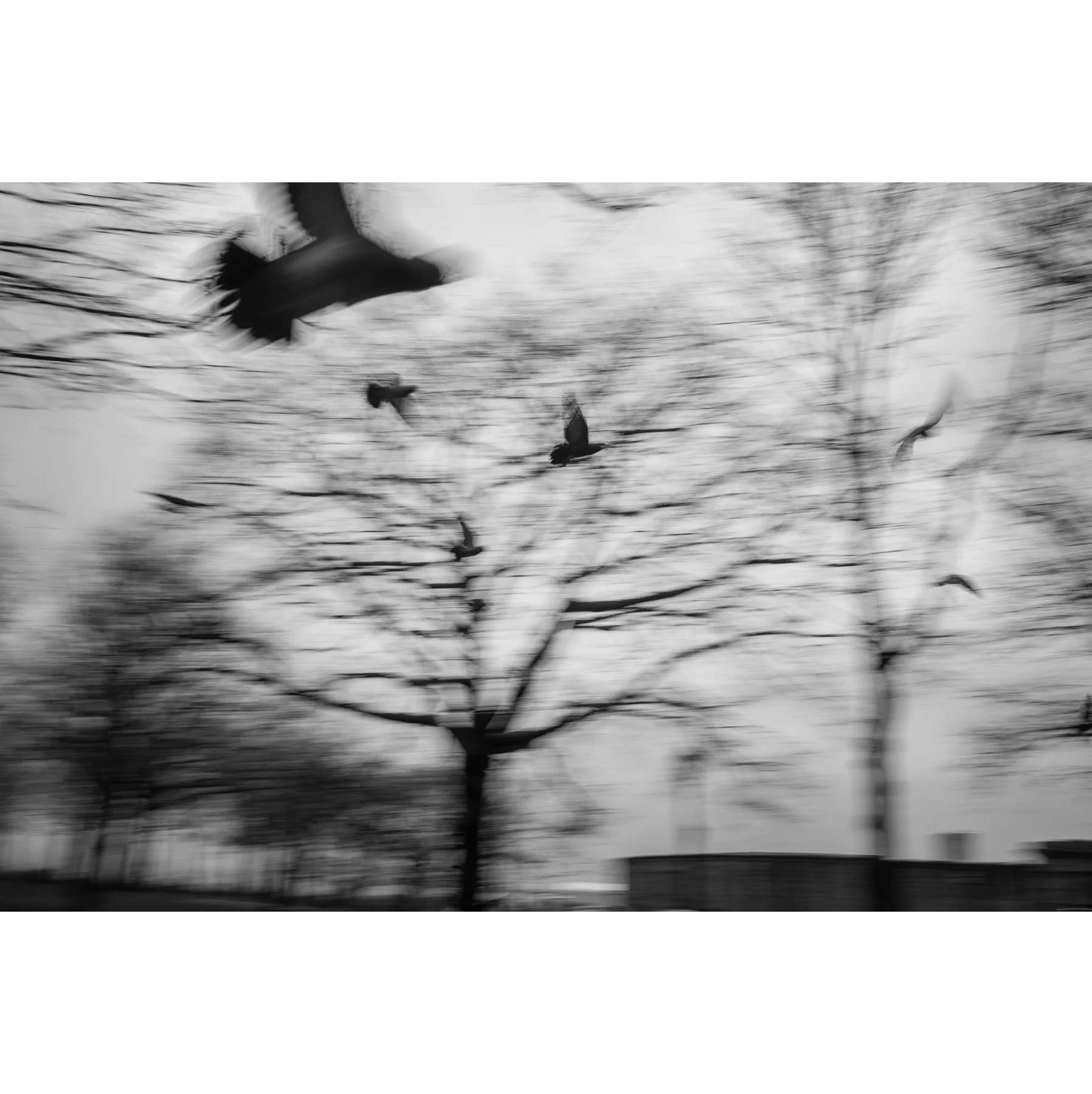 18-01-1530.hte.M24a.jpg