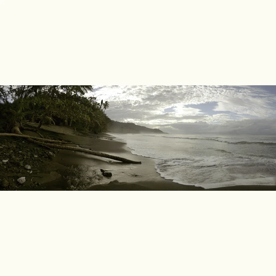 07-36-1DS-0331(pano)