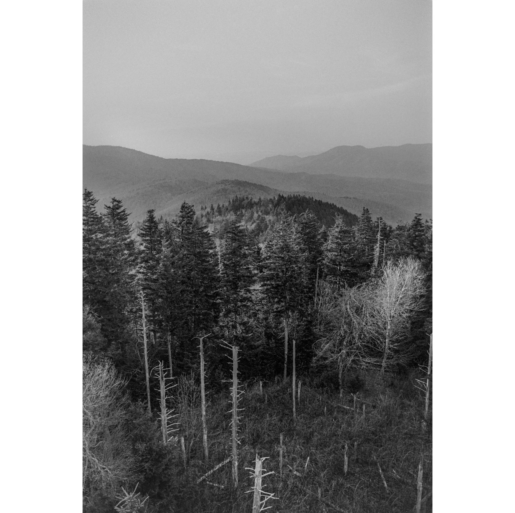 97-07-07-22.hte.jpg