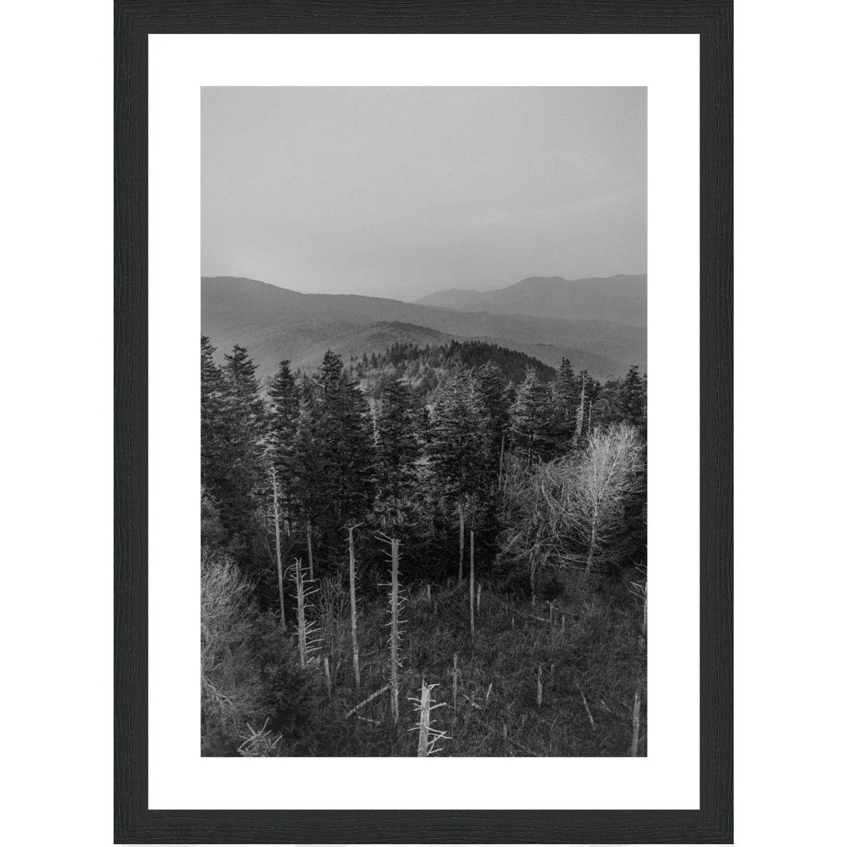 97-07-07-22.frame.jpg