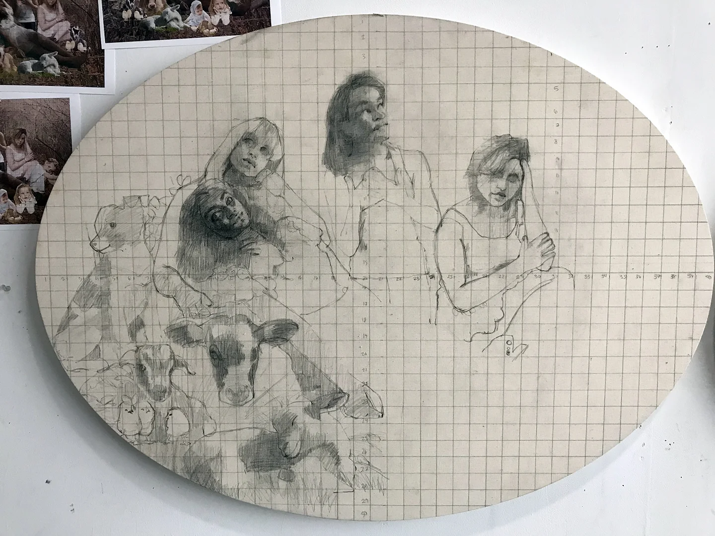 drawing in animals