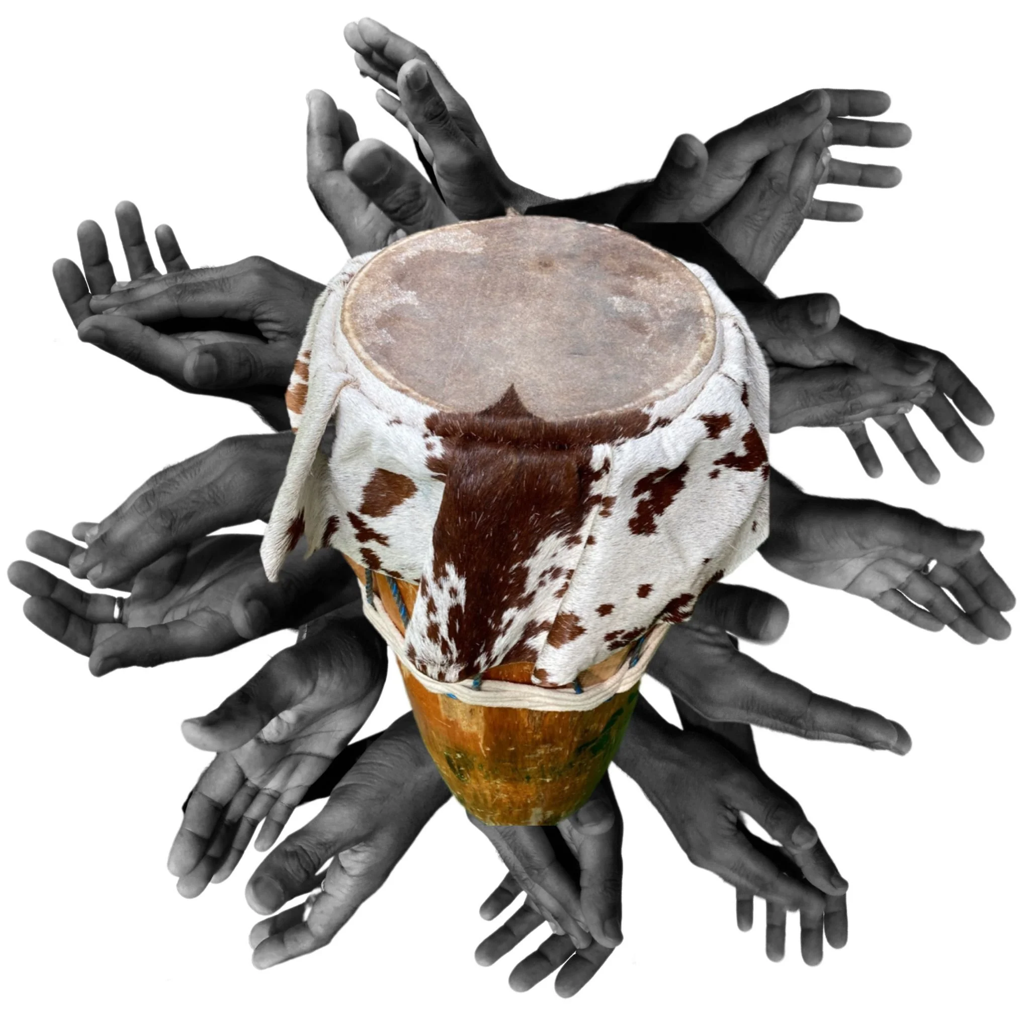 WhatsApp Image 2023-03-13 at 1.39.18 PM.jpeg