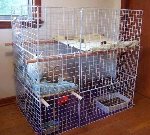 custom built rabbit hutches