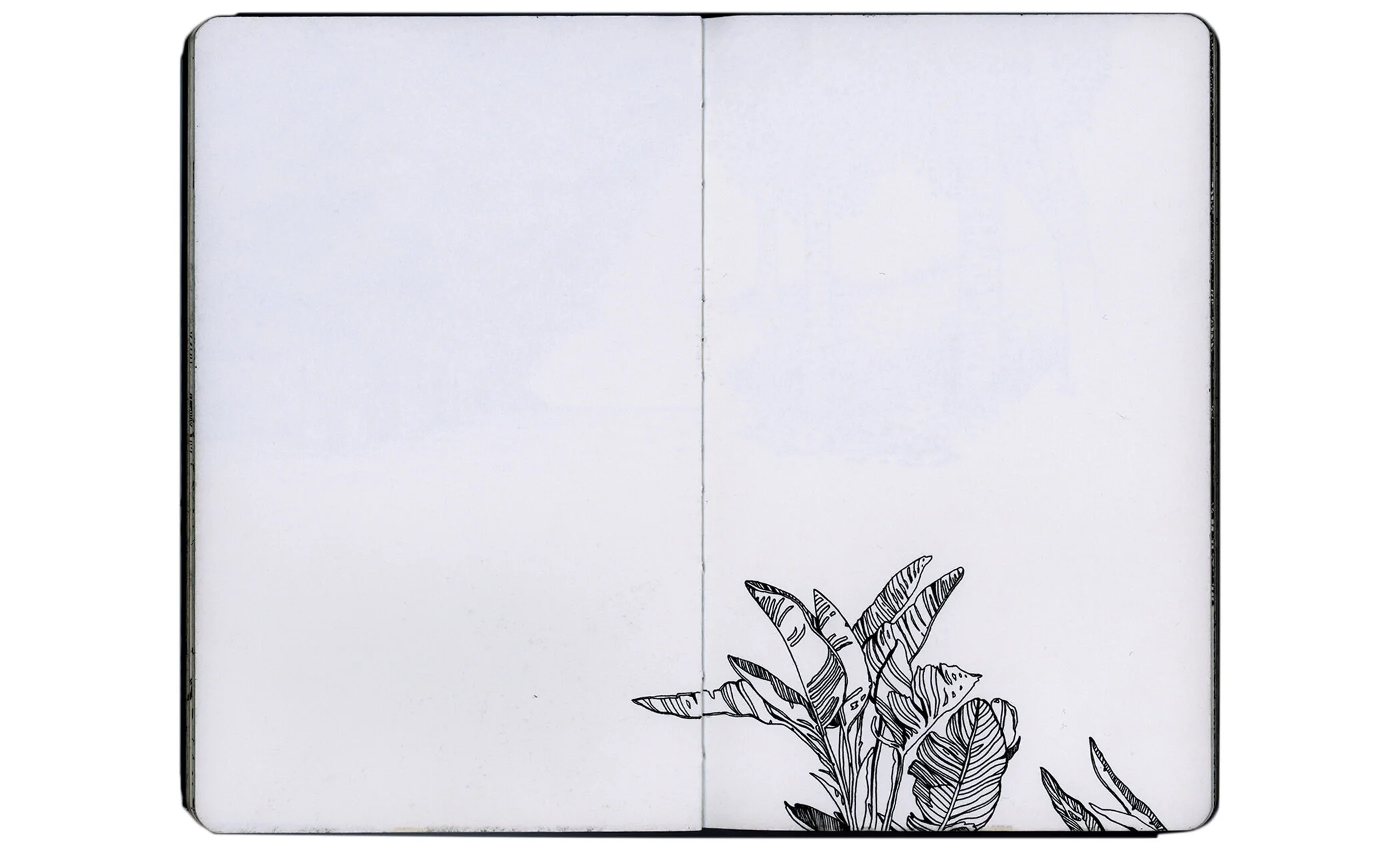Scan 3.jpg