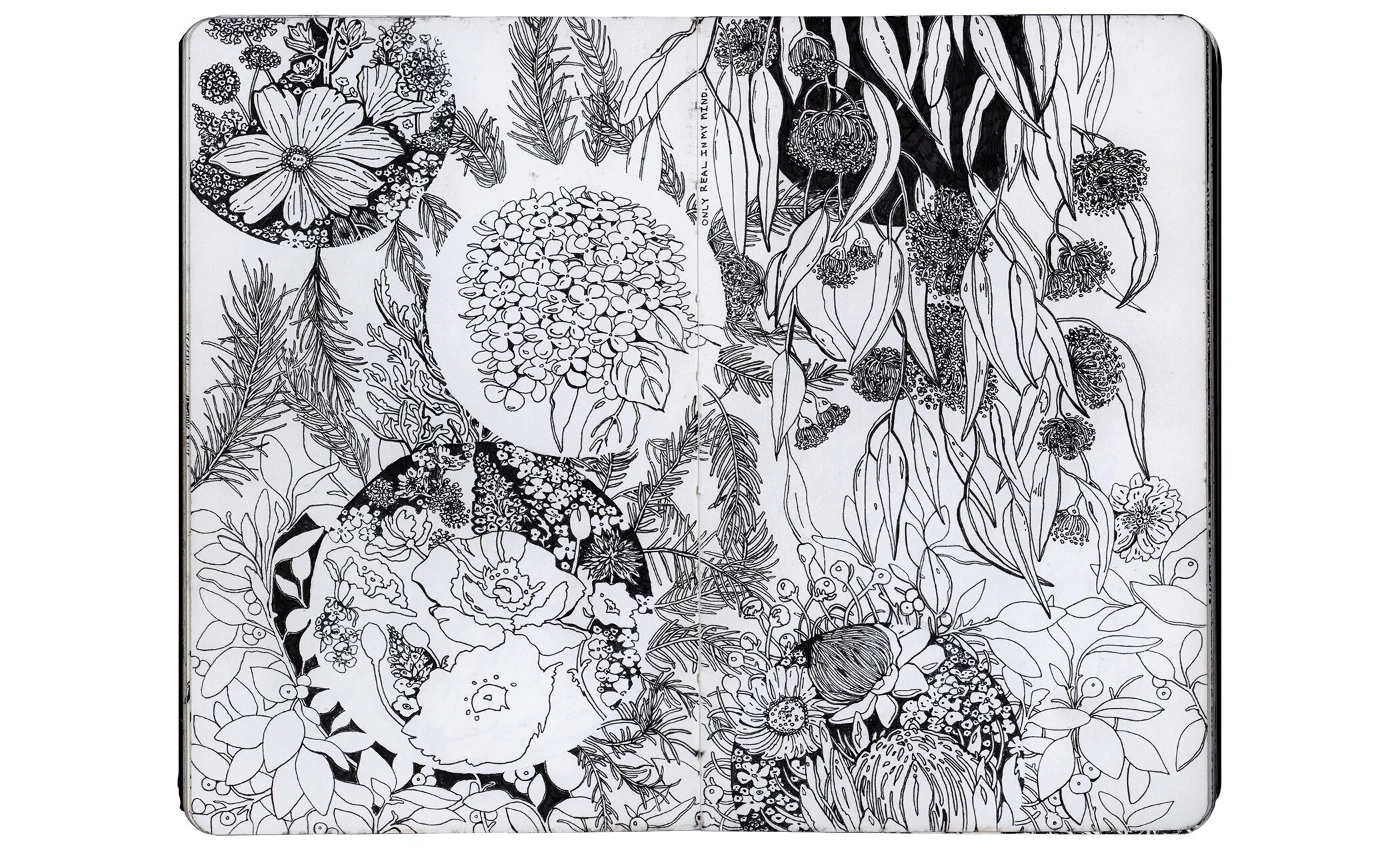 Scan 2.jpg
