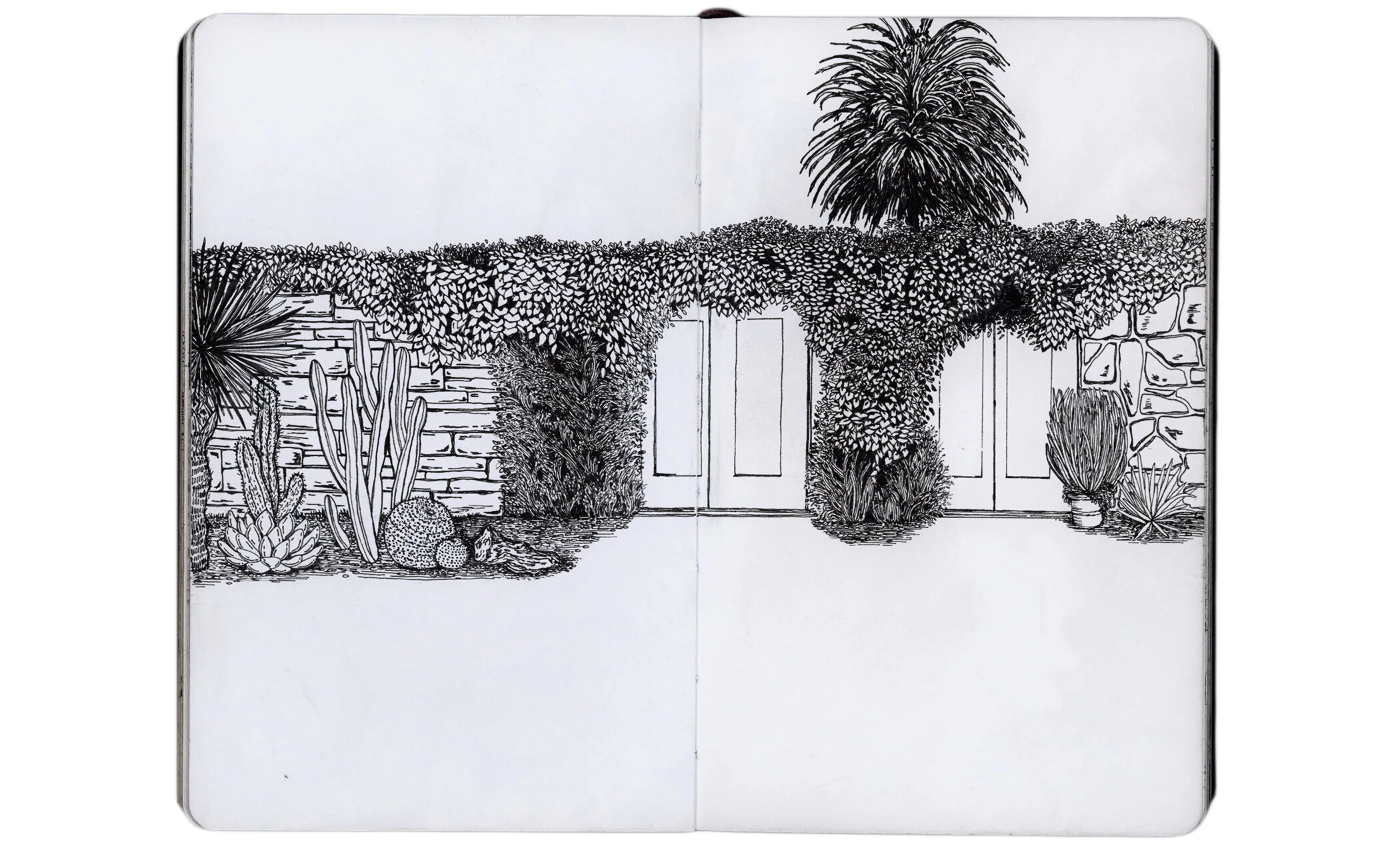 Scan 6.jpg