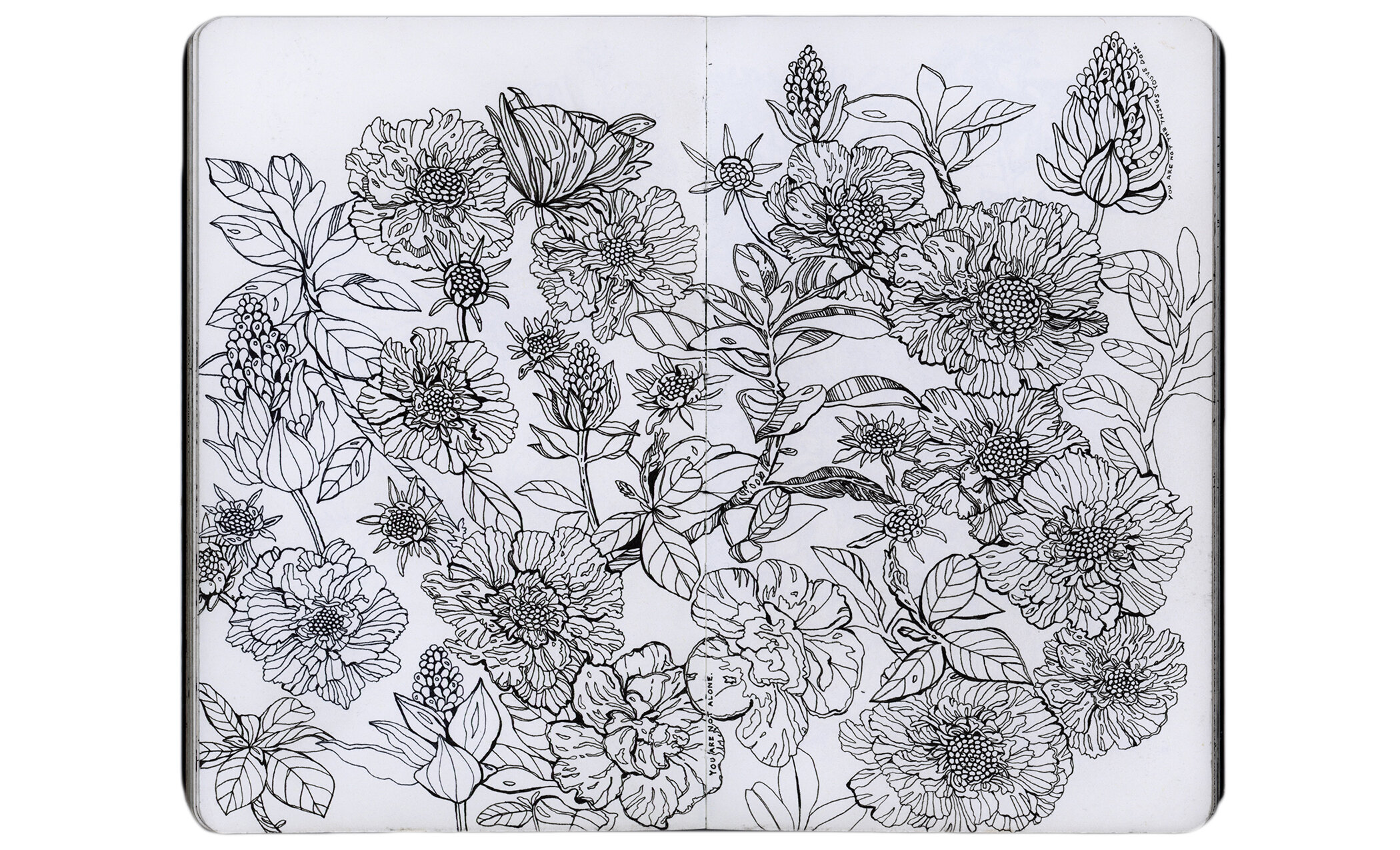 Scan 8.jpg