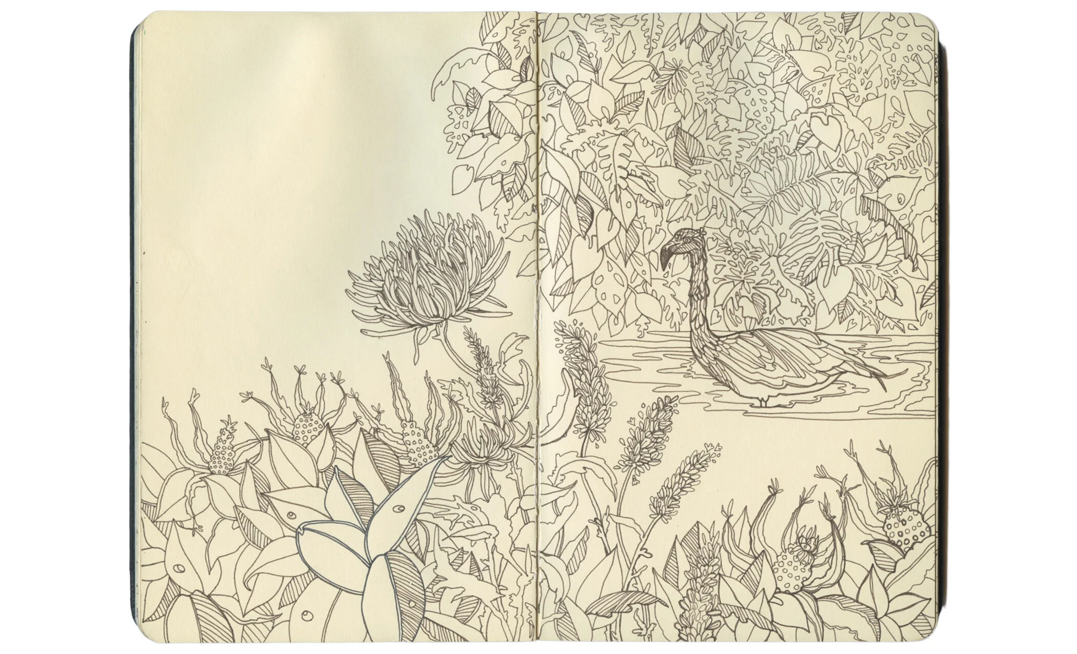 Sketchbook6.jpg