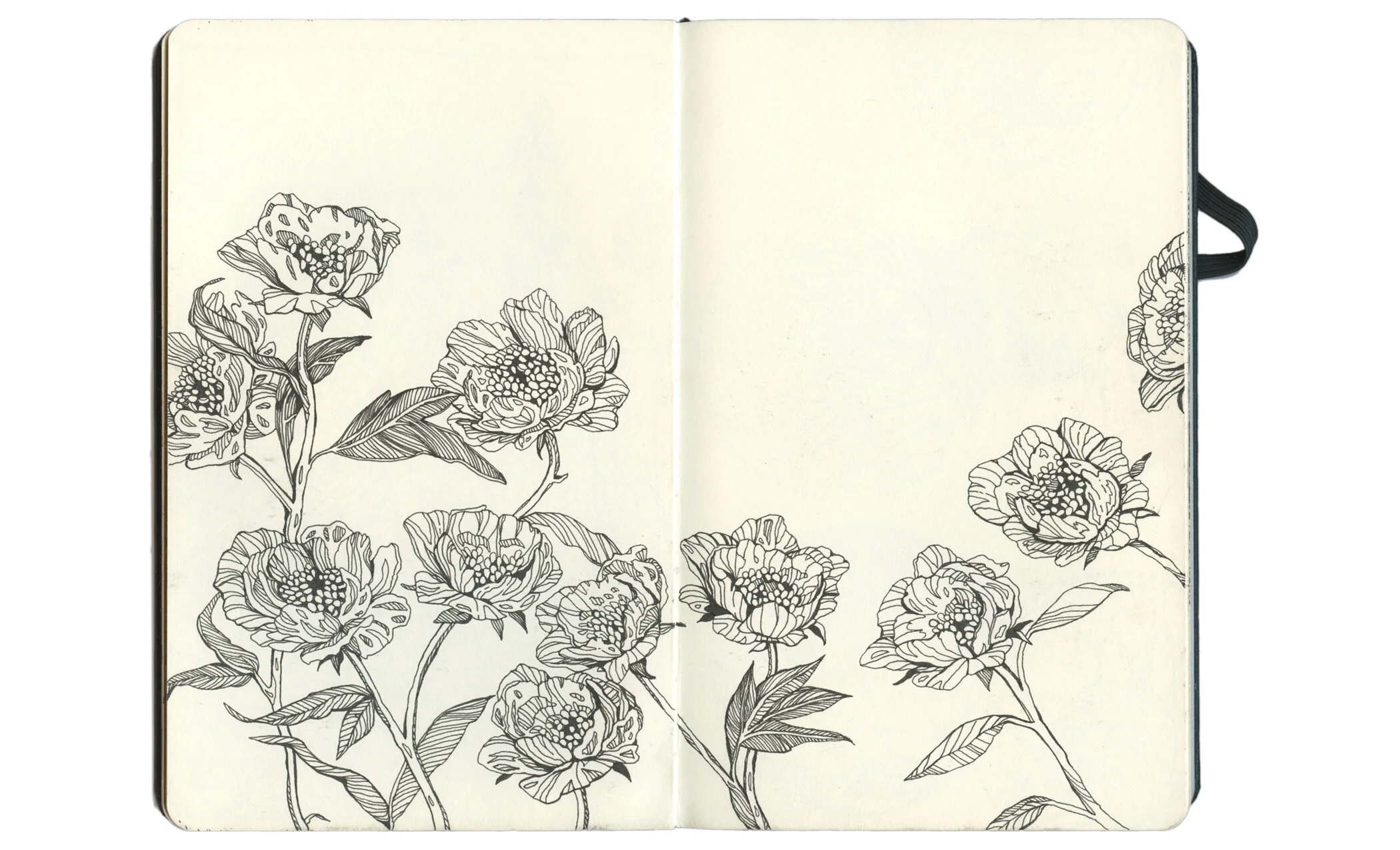 Sketchbook7.jpg