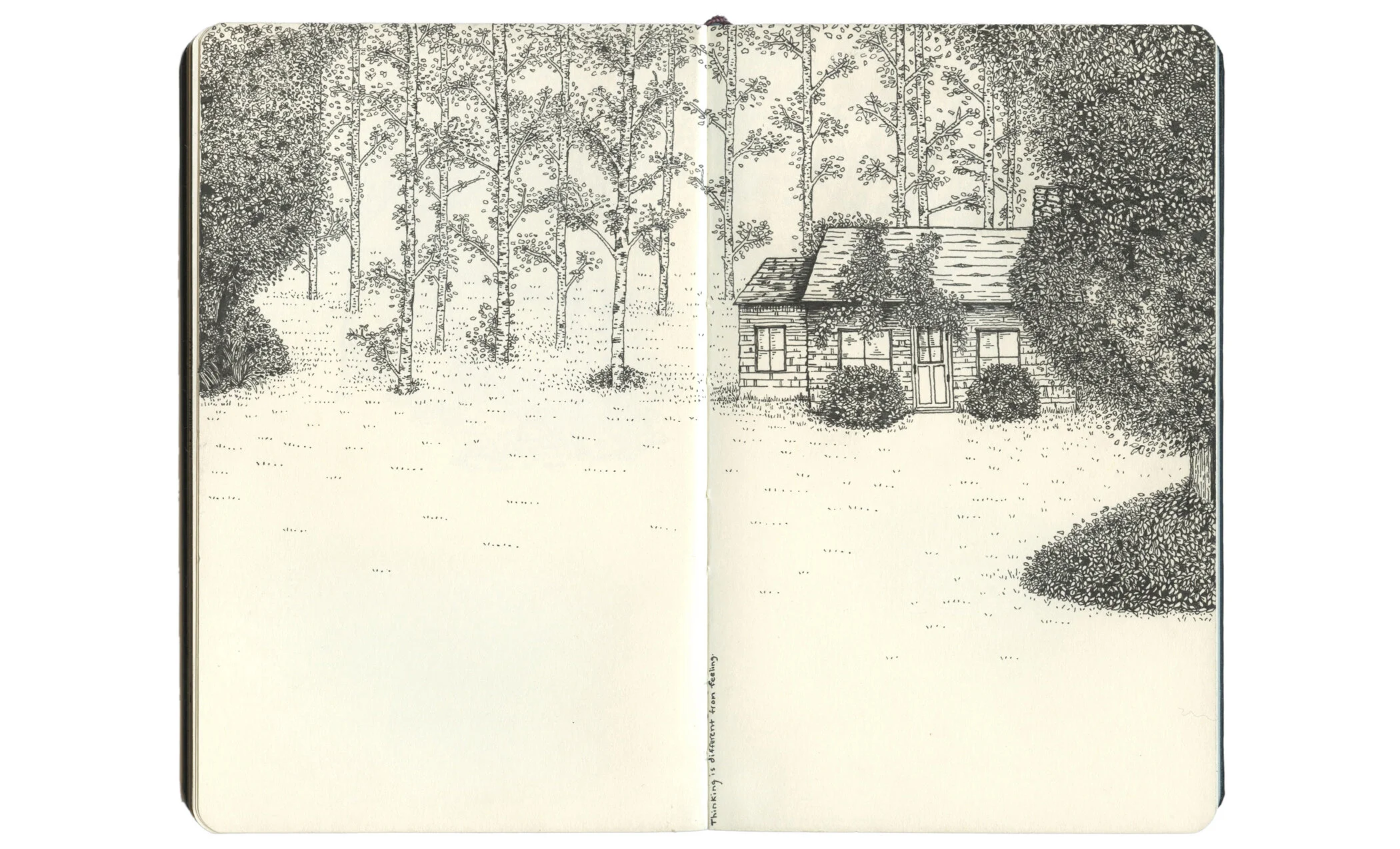 Sketchbook12.jpg