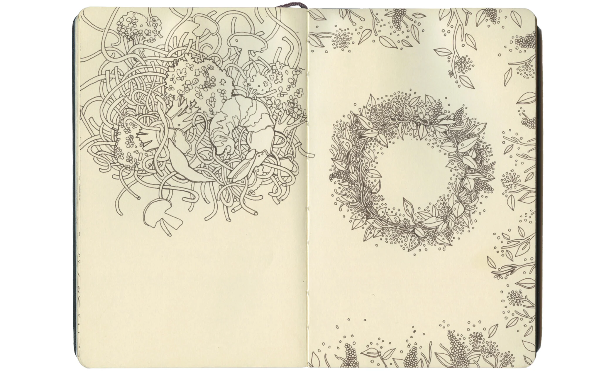 Sketchbook13.jpg