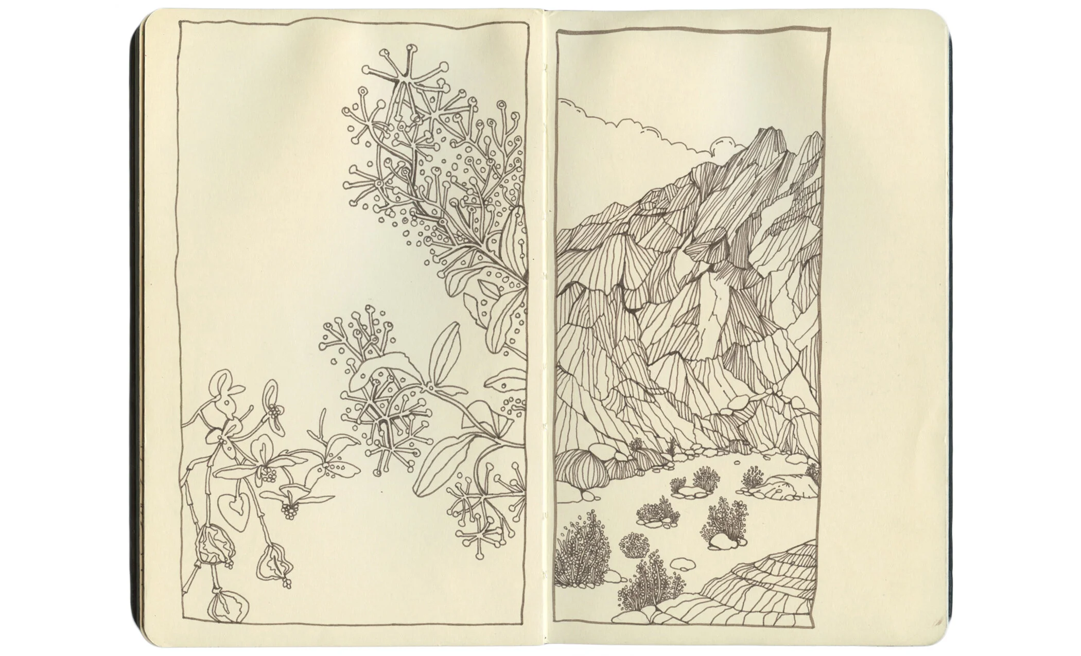 Sketchbook15.jpg