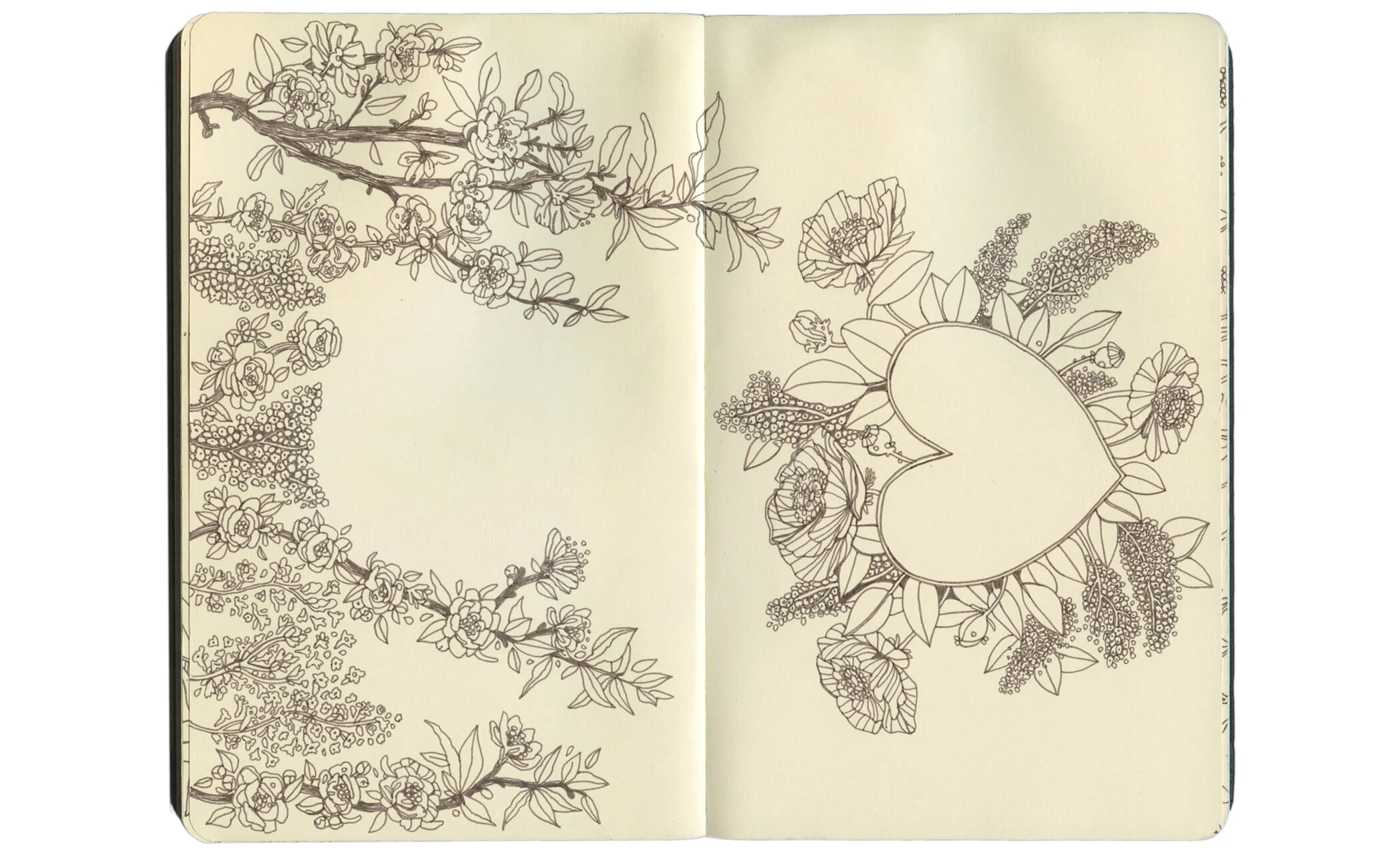 Sketchbook14.jpg
