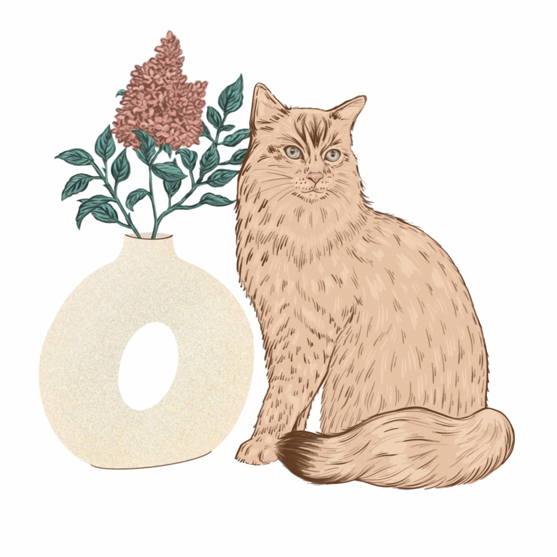 STILL LIFE AND RAGDOLL CAT.jpg