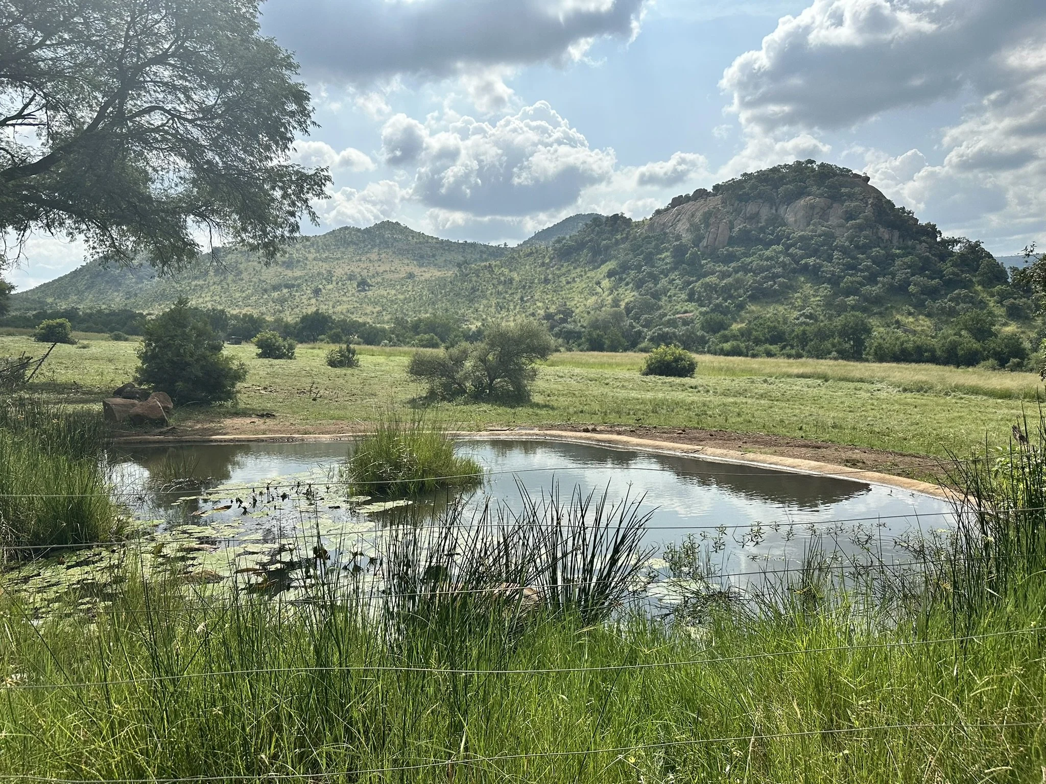 Day 7: The Start of our Safari Adventure!