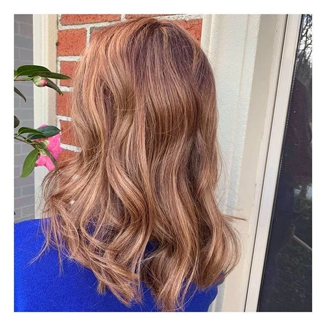 Chestnut tones that shine in the winter sun. 😊☀️