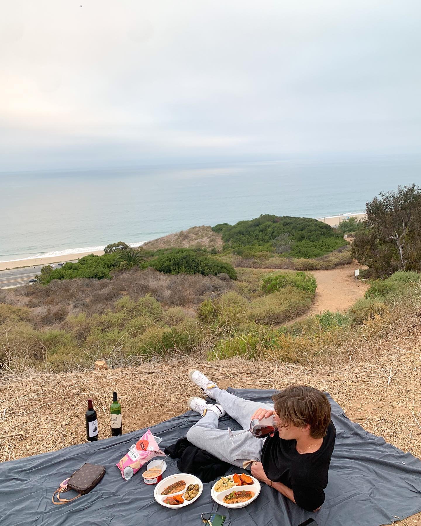 Biggggg picnic goers