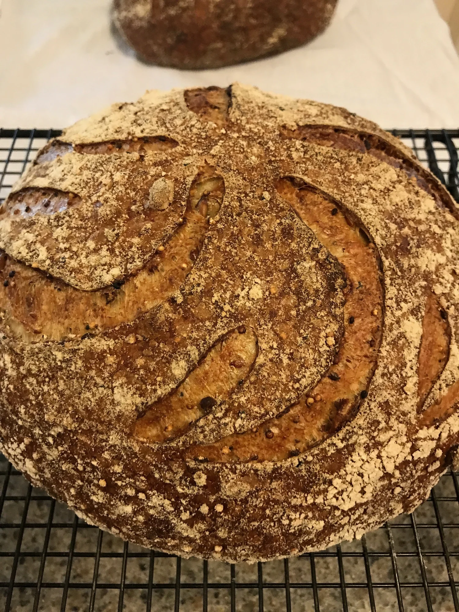Sourdough Lab