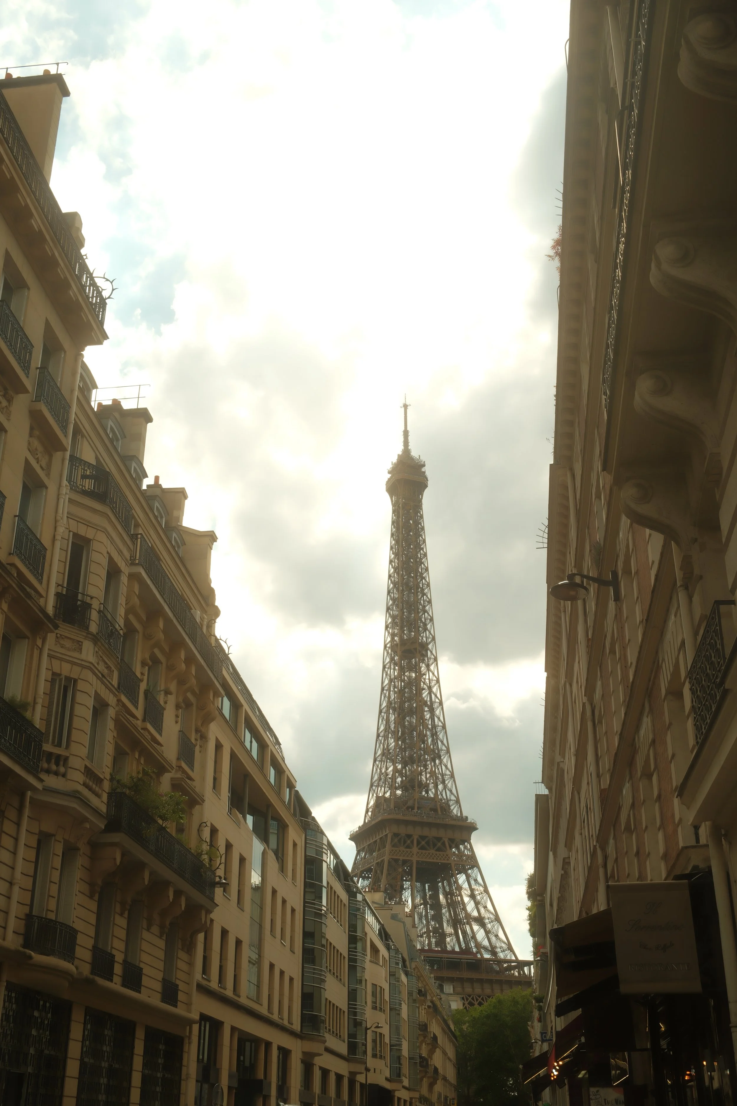 IMG_8814.jpeg