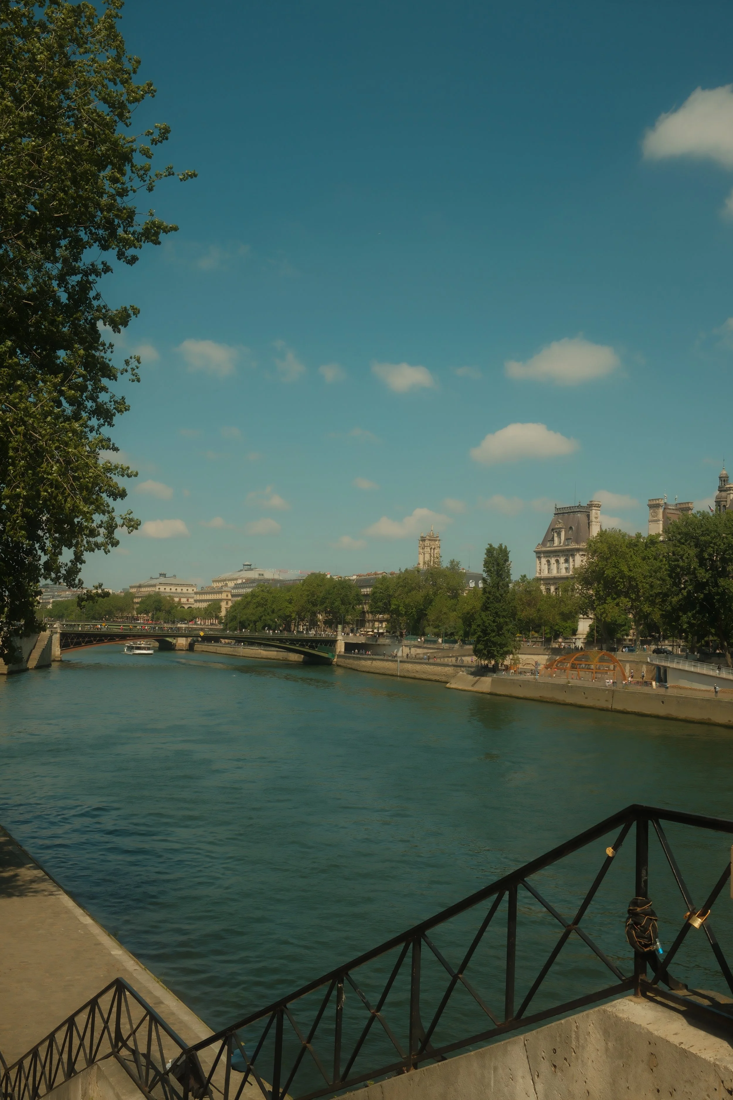 IMG_8831.jpeg