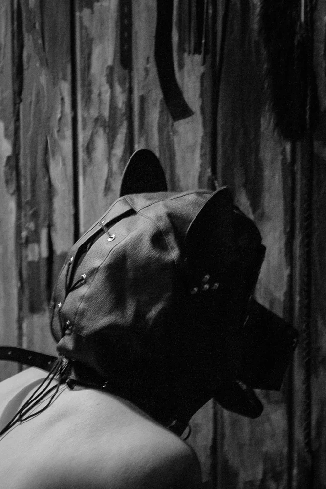Puppy play in the dungeon of Mistress Red Fox