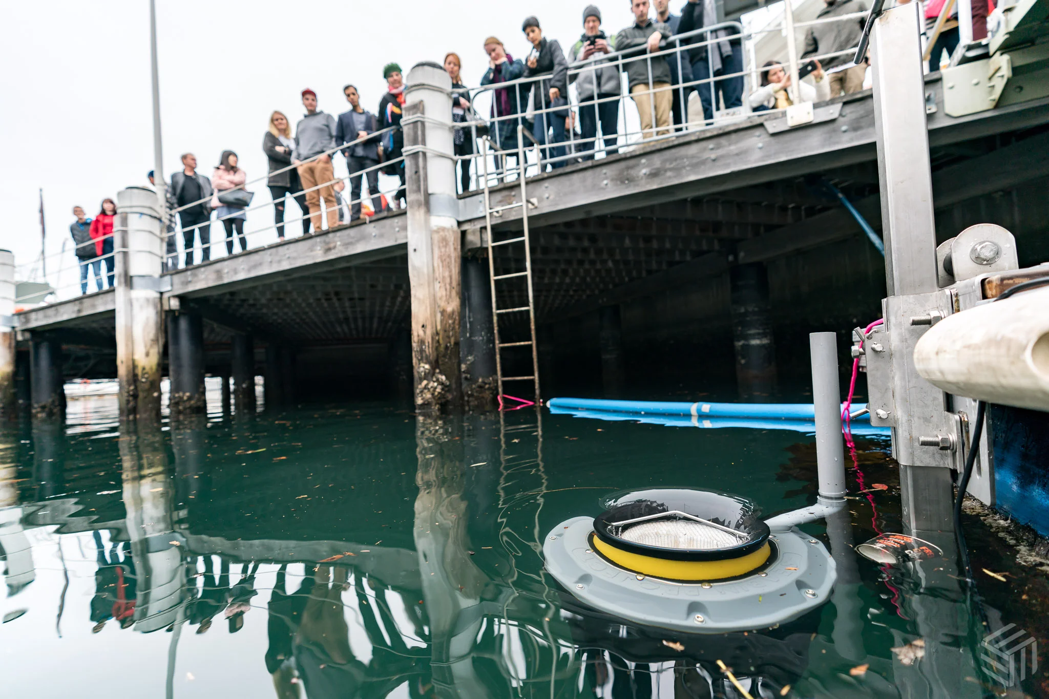A disposable coffee cup moves towards the Seabin . Photo by Elliot Kirkwood Photography
