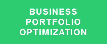 Business Portfolio Optimization