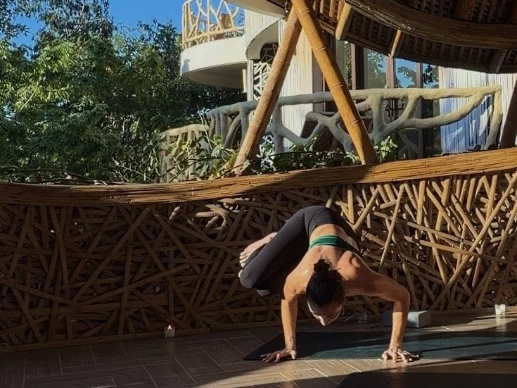 INTRO TO ARM BALANCES