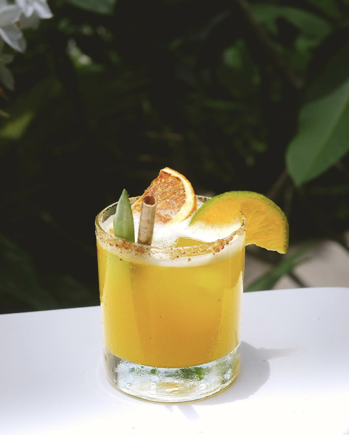 Screenshot 2026-02-05 at 10.21.48 PM.png