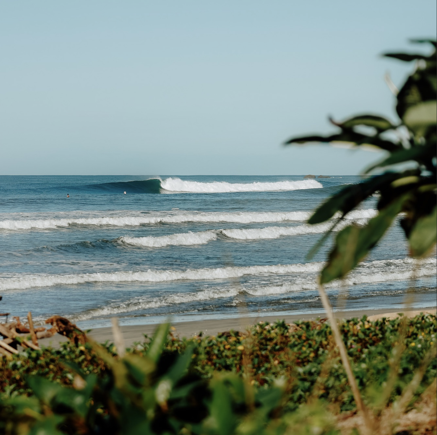 Screenshot 2026-02-05 at 10.04.47 PM.png