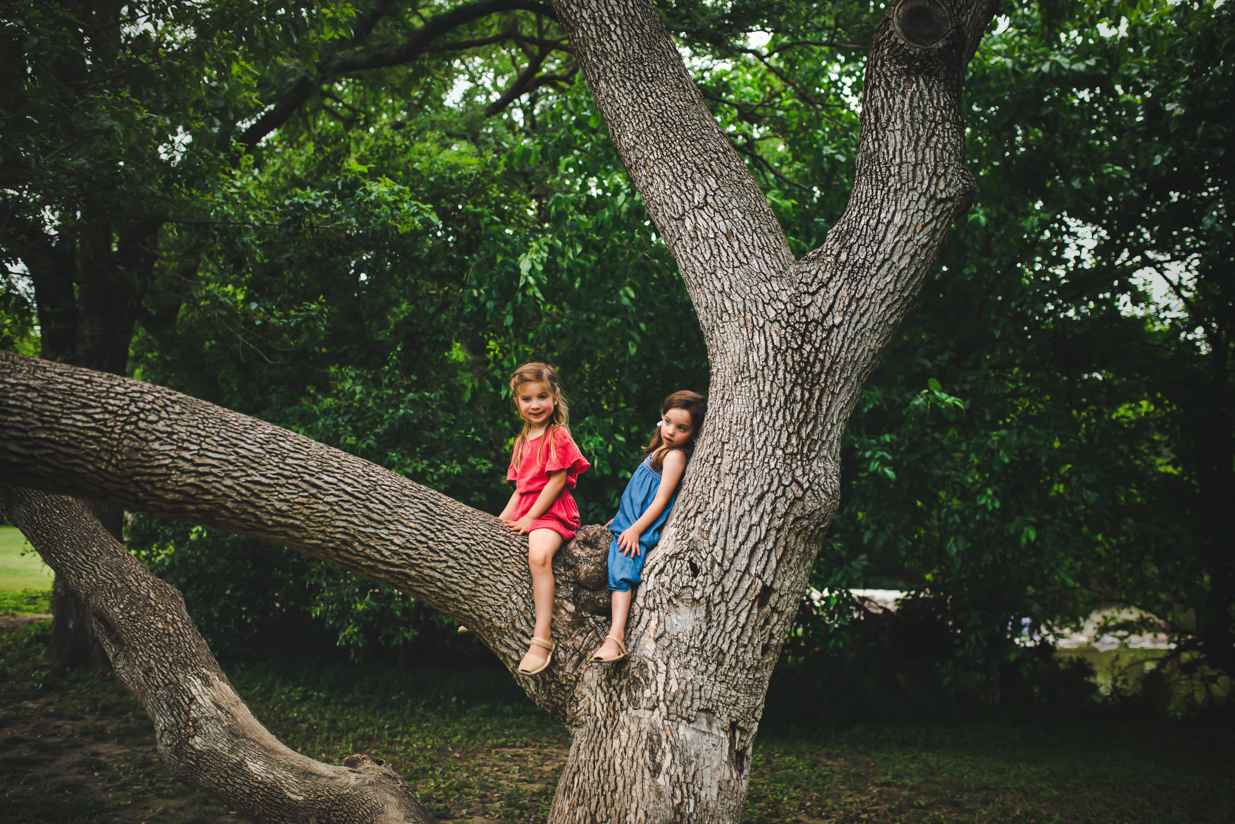 875A8748-Edit-Edit.jpg