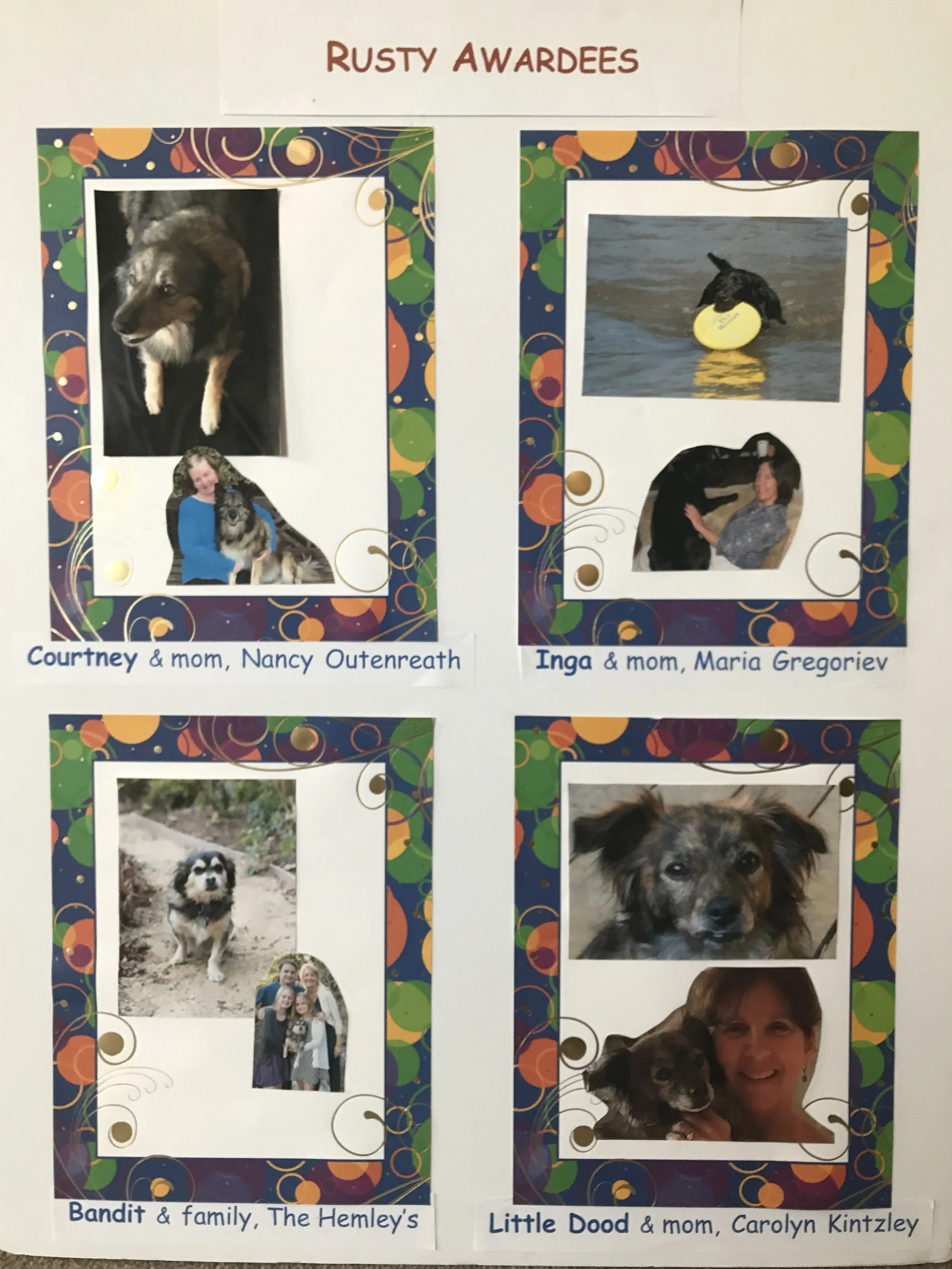 Pets who have volunteered for 3 years