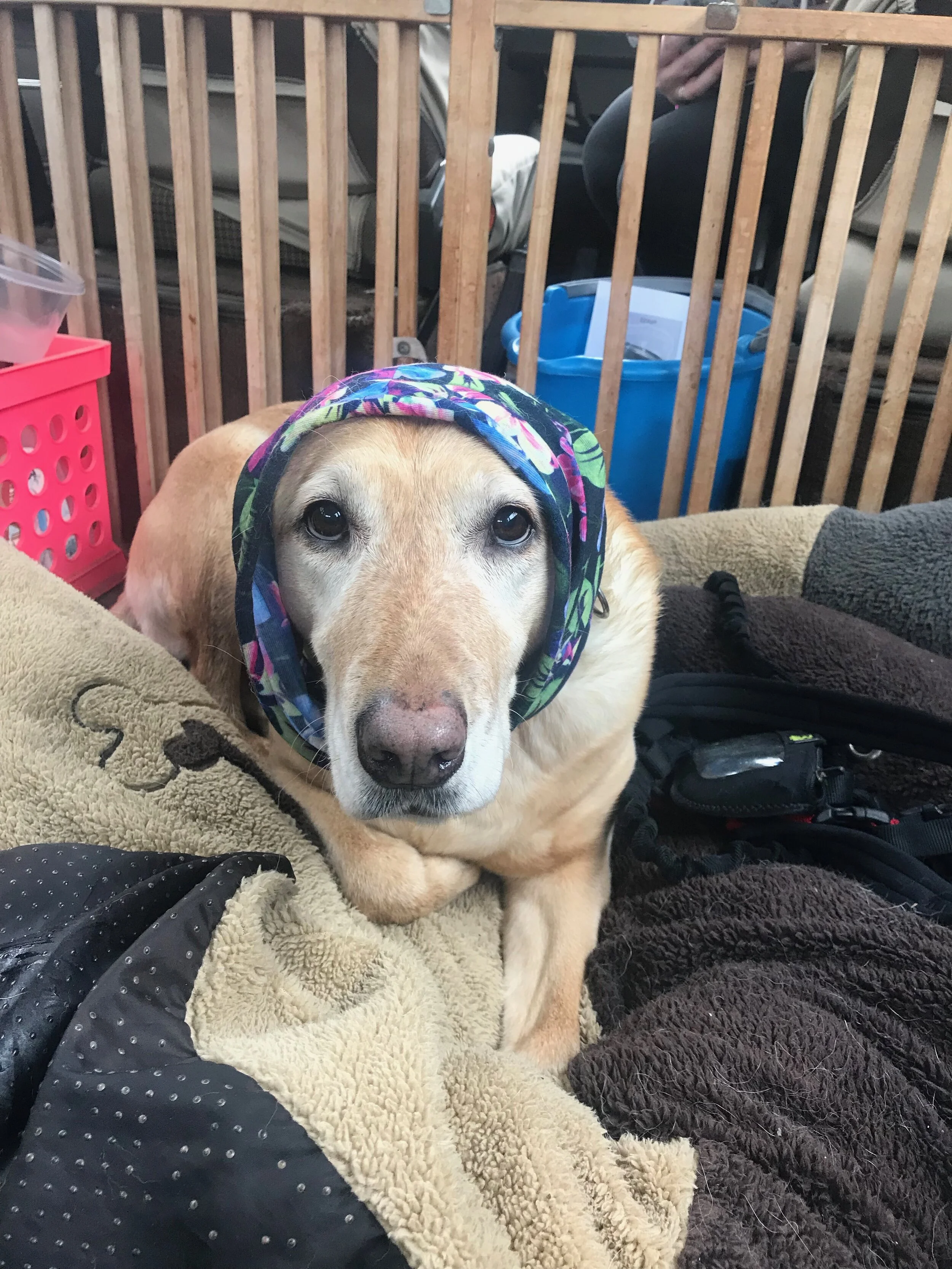 The Ultimate Running Mixtape