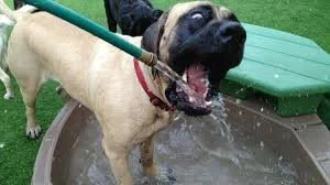 A Highly Scientific Analysis Of Hydration And Running Performance