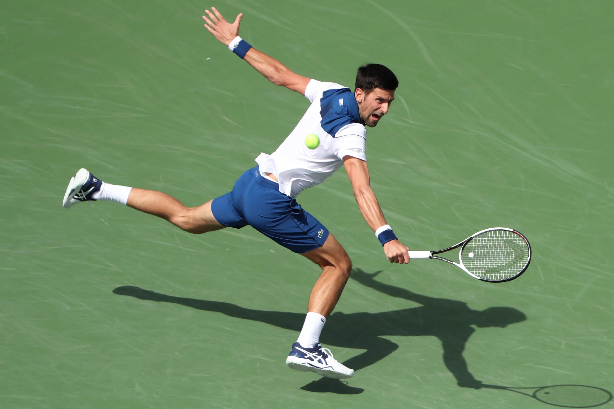 djok.jpg
