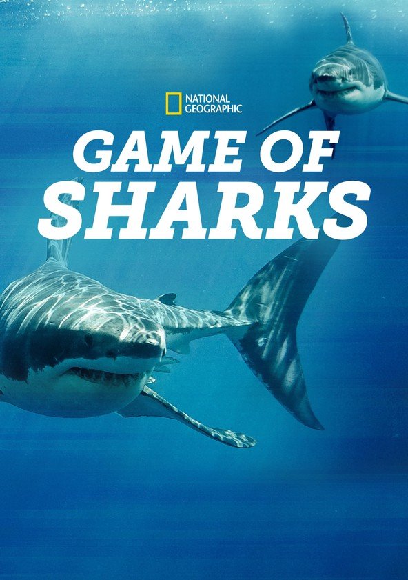 game-of-sharks.jpeg