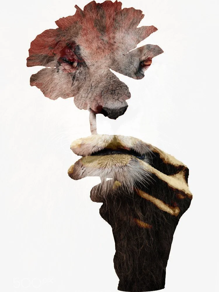 EA032CE8-9359-11EB-B667-12E2695AC7CD (1).jpg