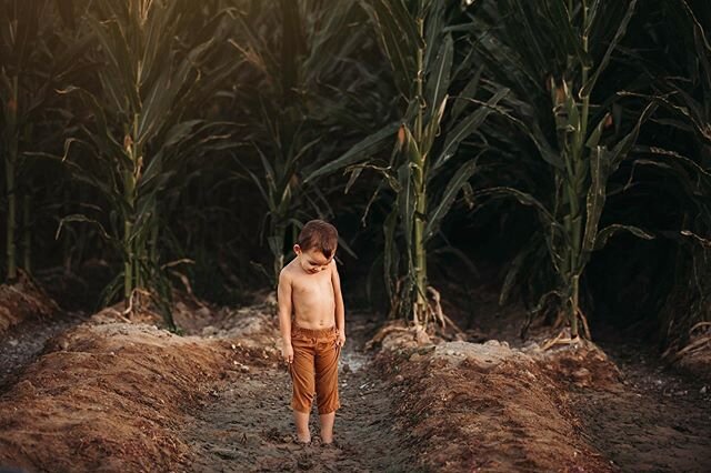 Took my babies down to the cornfields by our house 🤍🌽✨ &bull;
&bull;
&bull;
&bull;
&bull;

#maternity #azmaternity #phoenixmaternityphotographer #phoenixphotographer #arizonaphotographer #like #likes #likeforlike #follow #followers #followforfollow