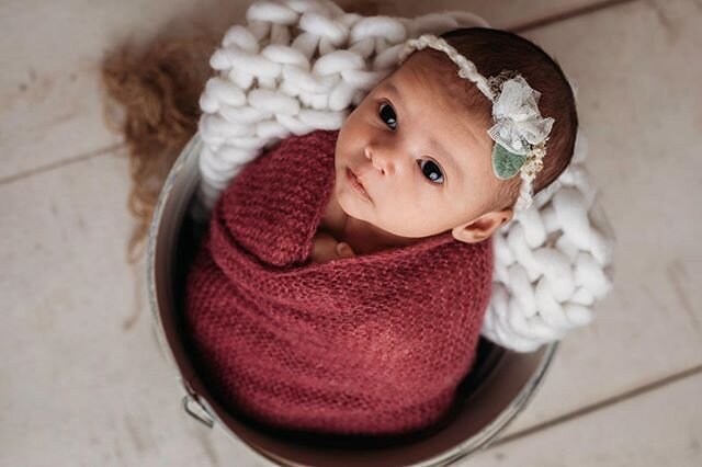 Wide awake &amp; staring straight at the camera! 👶🏻 &bull;
&bull;
&bull;
&bull;
#arizonanewbornbabyphotographer #newbornphotographer #newbornsession #newbornphotographer #arizona #phoenixphotographer #goodyearphotographer #b1withbabies #parenthood 