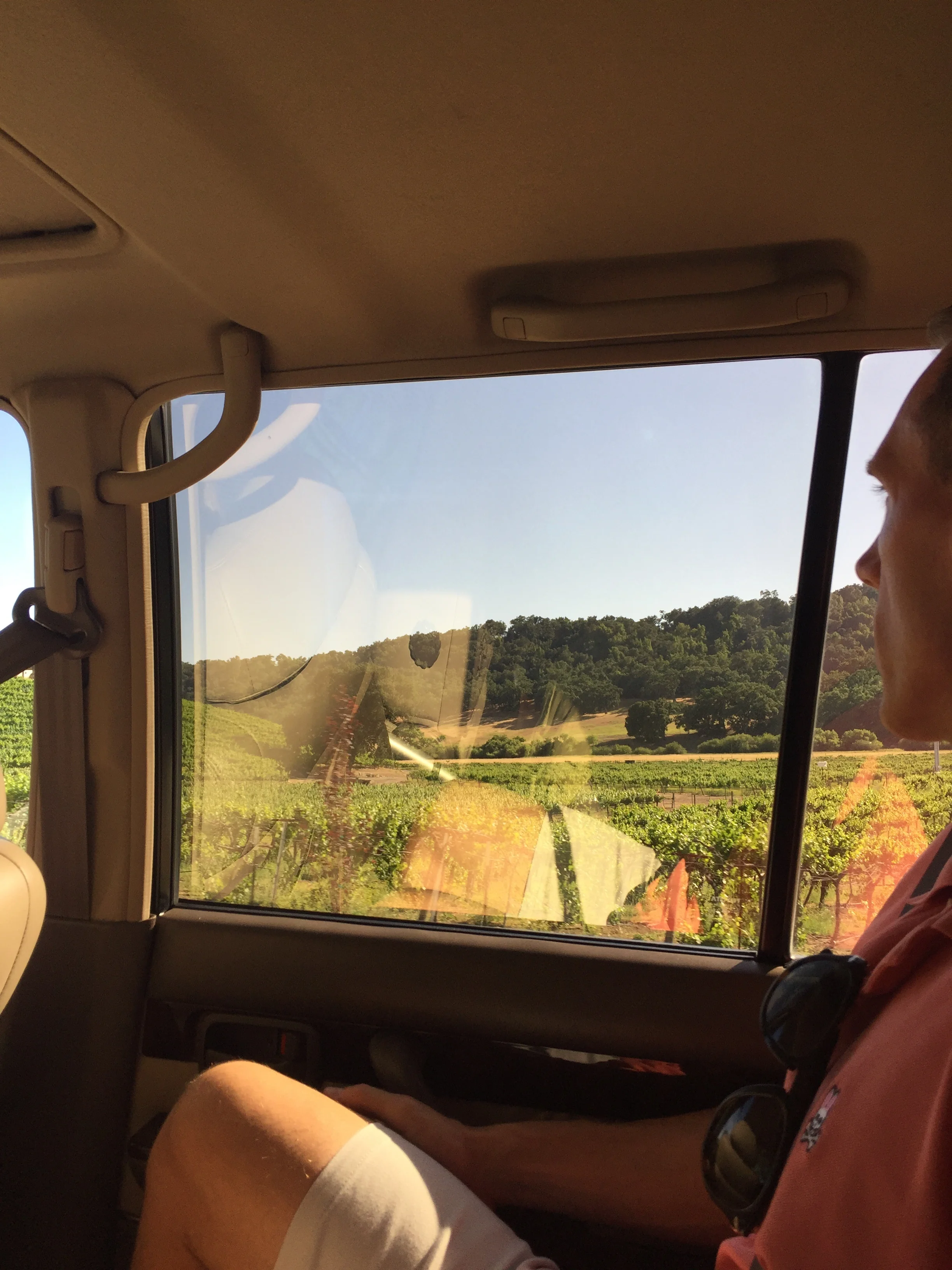 This is how Paso looks, for miles, it's very pretty rolling hills and lots of grapes - also not quite as cool when I grew up here but awesome place to start life.