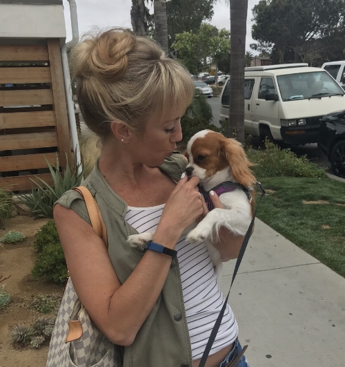 I will have this dog. Well, not this one, the owners may not like that, but similar.