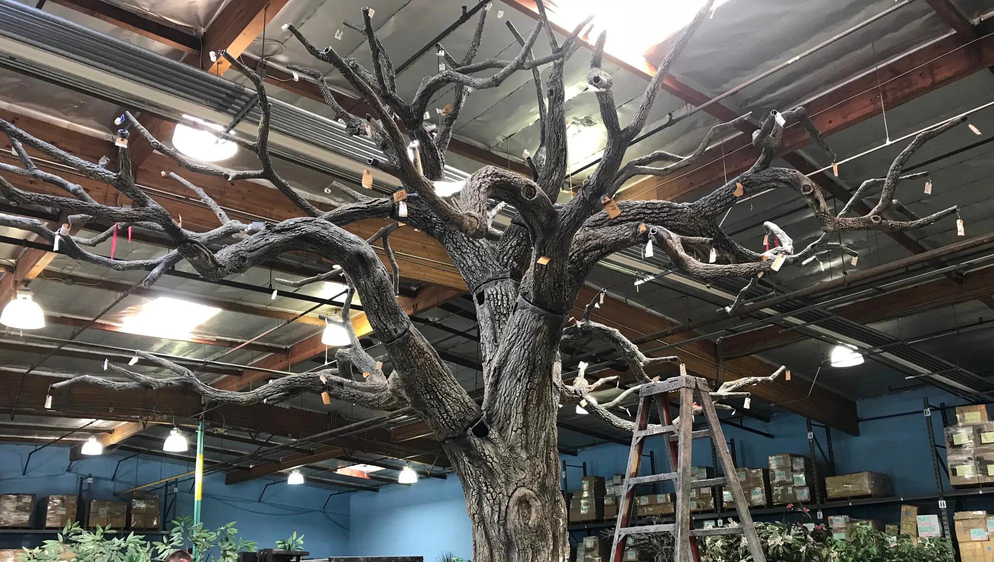 tree fabrication - treehouse