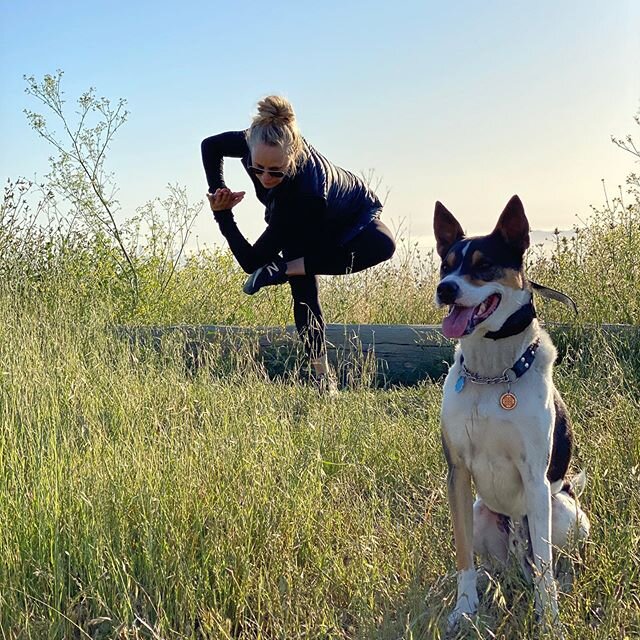Join me for 60 minute vinyasa flow tomorrow morning at 9:30am pst. 
Sign up at www.vitaoakland.com to support my local studio if you are able. If however finances are tight contact me and I will be sure you can practice with me. We all need YOGA more