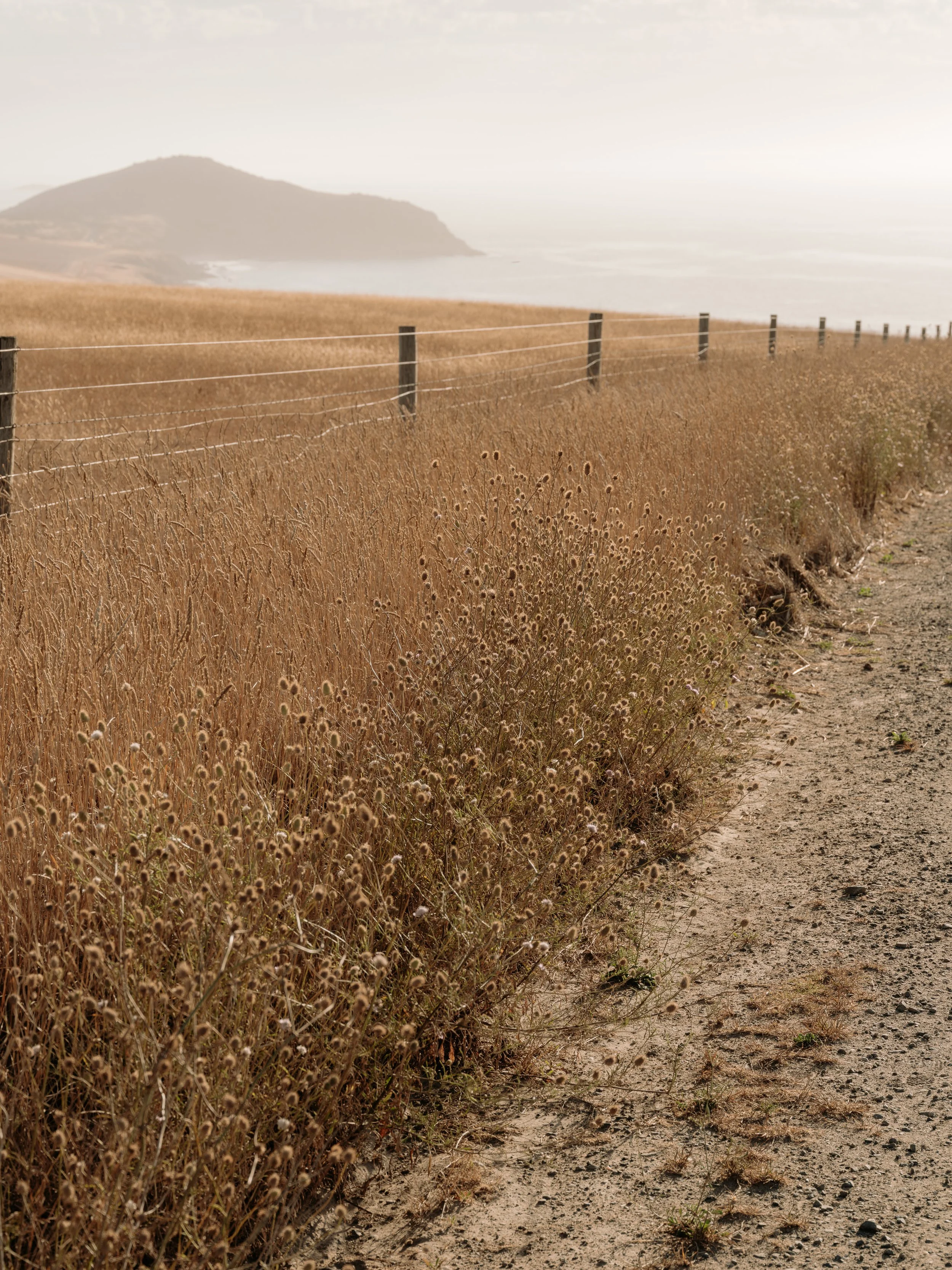 260117_SATC_thecoastiscalling_5028.jpg