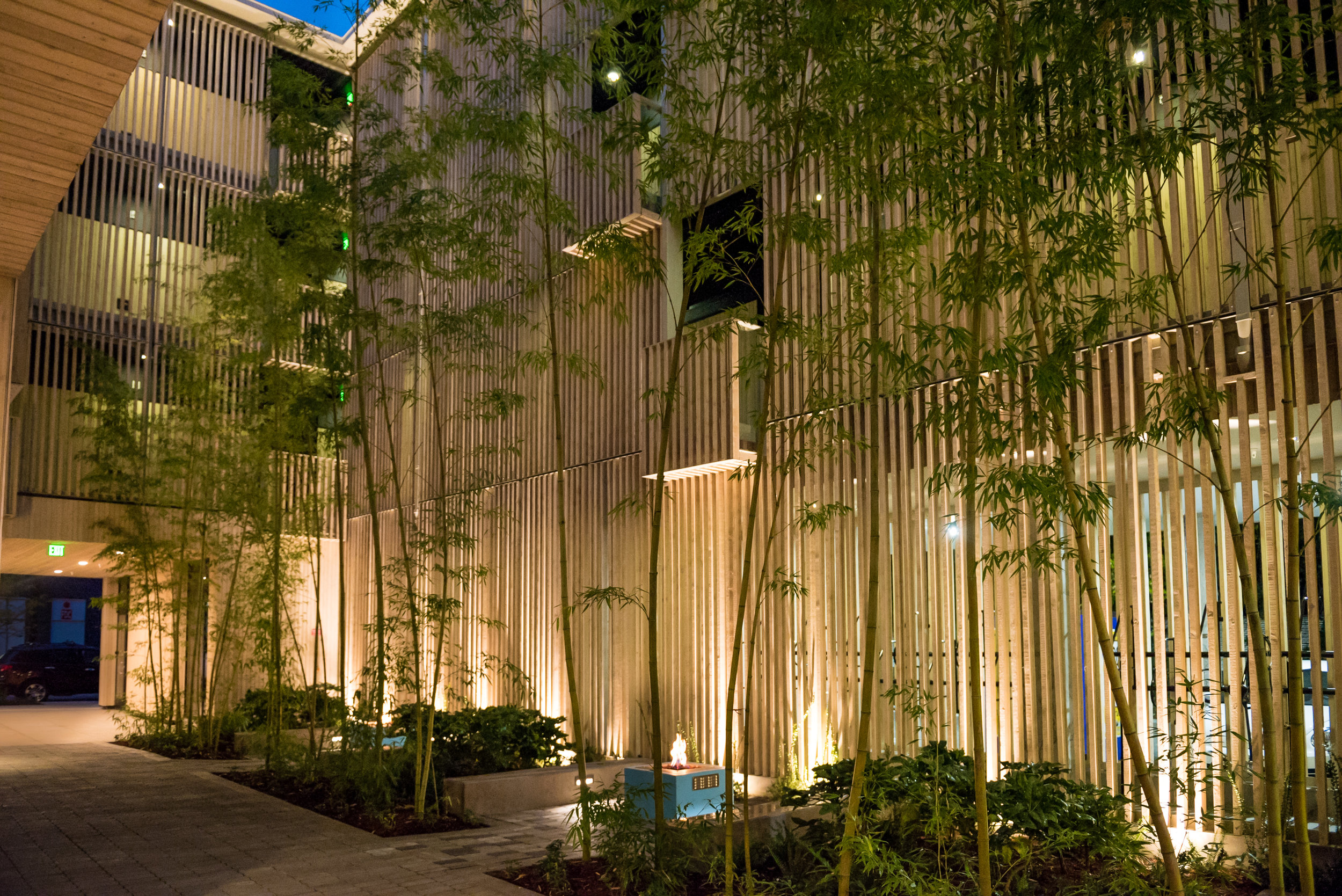 3330 Division courtyard_bamboo.jpg