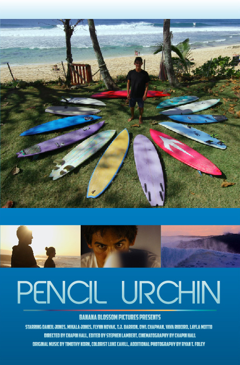 Pencil Urchin.jpg