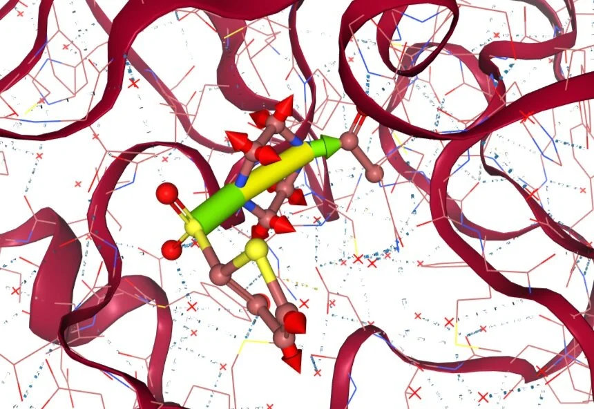Working jointly to develop an application helping scientists examine the structure of the COVID-19 disease-causing coronavirus